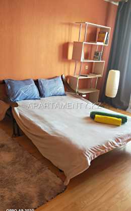 1-room apartment for daily rent, Lomova 149