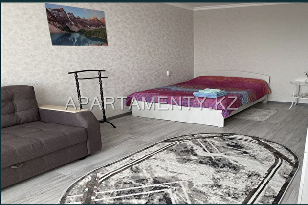 1-room apartment for daily rent in Shchuchinsk