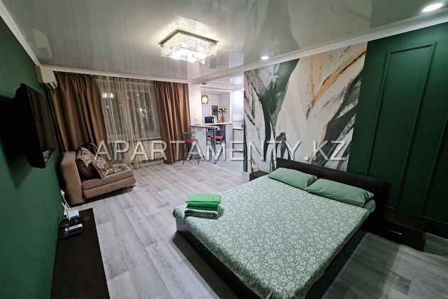 1-room design studio in Pavlodar