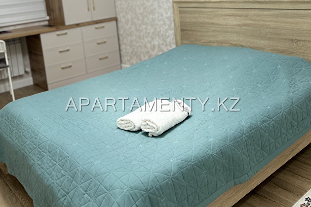 3-х комнатная квартира на Батыс 2