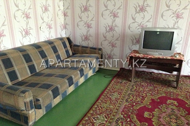 1-room apartment daily