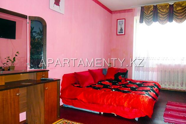 1-room apartment daily