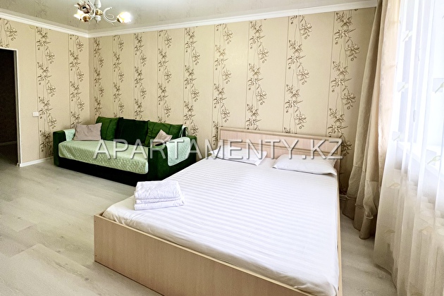 1-bedroom apartment in Astana