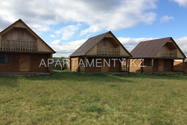 Houses made of logs