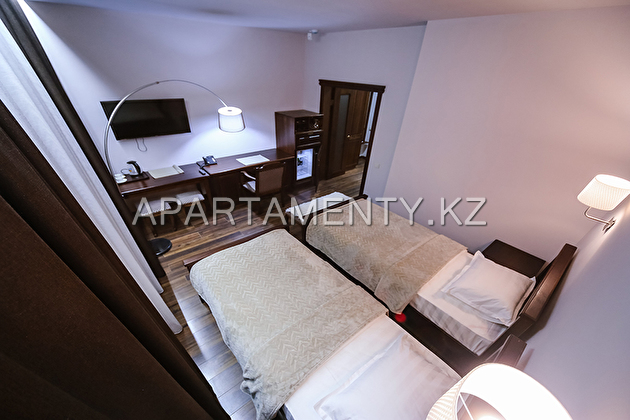 Double room with 2 beds №4