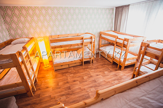 Bunk Bed in Male Dormitory Room