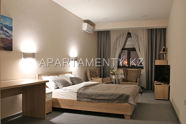Apartment single №5