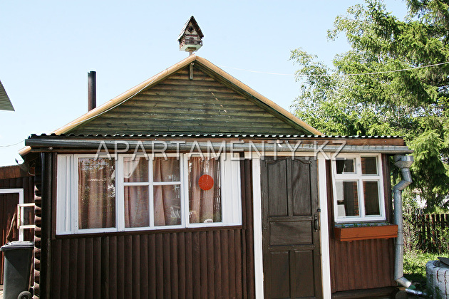 Russian sauna with wood