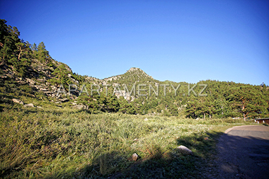 Mountains in Bayanaul, flora of Bayanaul