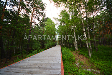 road near Imanayev falls