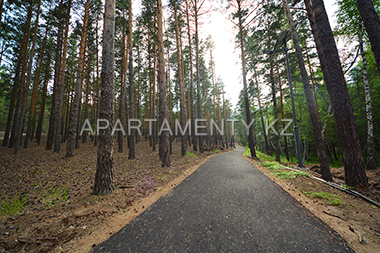 Path to Imanayev stream in Borovoe