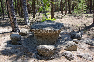 Stone table in the wood of Borovoe