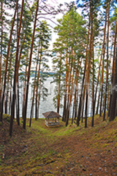 Беседка по пути в пещеру Кенесары, Боровое