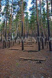 Ступени к пещере Кенесары в Боровом