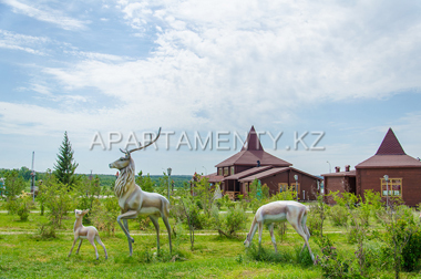 Казахстанская Лапландия возле отеля Rixos Borovoe