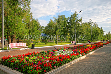 FLowers iin Kostanay