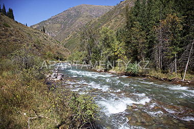 Mountain river in Turgen