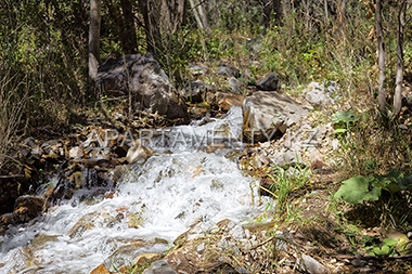 Mountain stream in Turgen