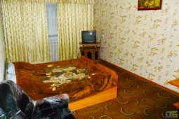 1-bedroom apartment daily