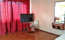 1,5-bedroom apartment daily