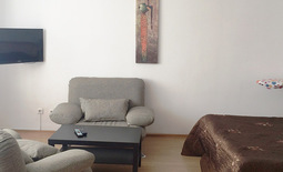 1-bedroom apartment daily