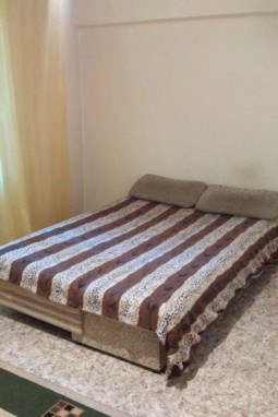 1-bedroom apartment daily