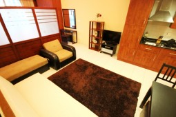 Уютная однокомнатная квартира