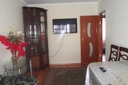 1-bedroom apartment daily