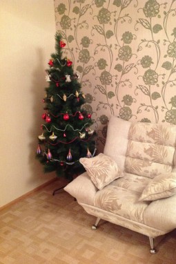 2-bedroom apartment daily