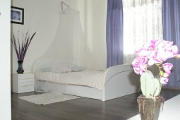 1-bedroom apartment daily