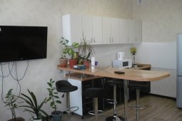 2-bedroom apartment daily