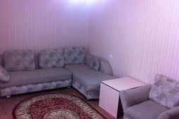 1-bedroom apartment daily