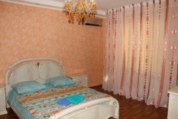 1-bedroom apartment daily