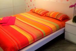 1-bedroom apartment daily