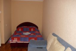 1-bedroom apartment in the center