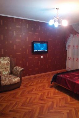 1 bedroom apartment in the center