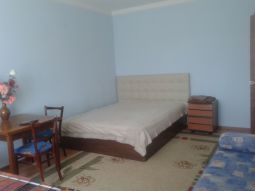 1 bedroom apartment daily