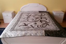 1-bedroom apartment daily in the center