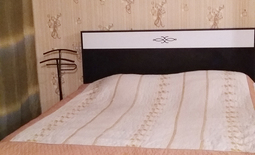 1-bedroom apartment daily