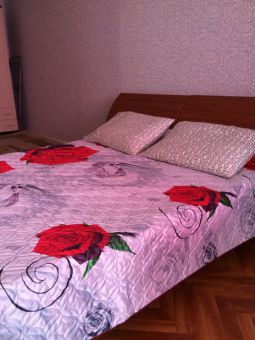 Однокомнатная квартира посуточно