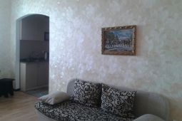 однокомнатная квартира посуточно