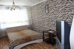 1-room apartment for daily rent in the center