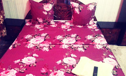 Studio apartment daily