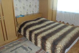 Трехкомнатная квартира в центре города