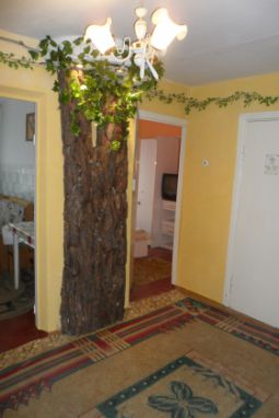 Недорогая трехкомнатная квартира на сутки, Боровое