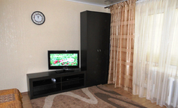 One bedroom apartment in the center daily