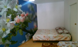 1-комнатная квартира в Боровом