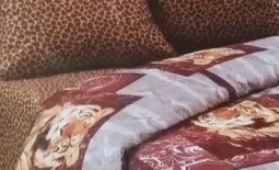 2-комнатная квартира посуточно в центре Караганды