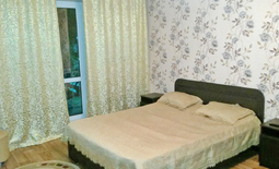 1 bedroom apartment for rent, center