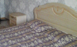 One-bedroom apartment for daily rent